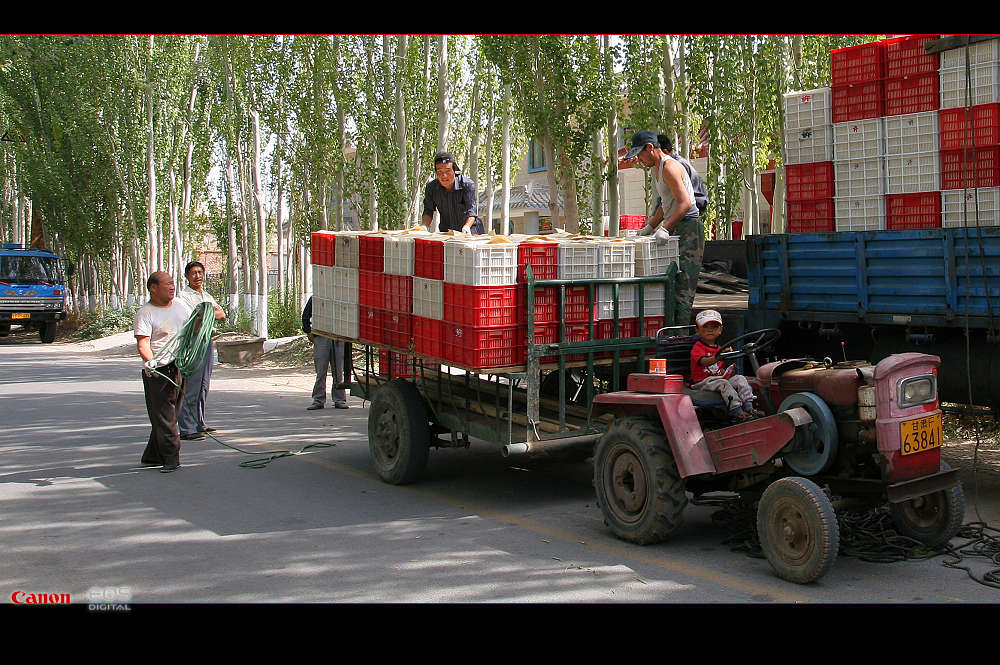 南通－西安－敦煌－十日－怒放的生命