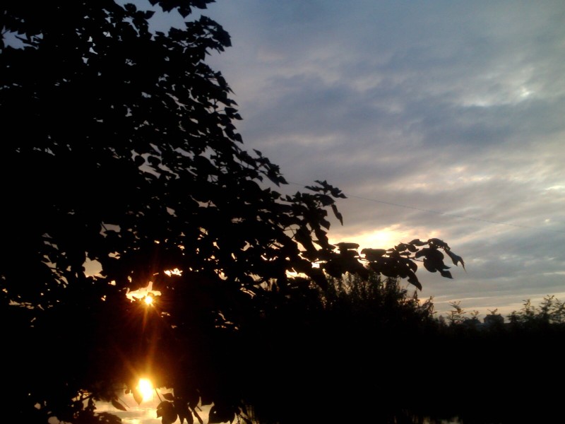 [贴图]拍的烂照