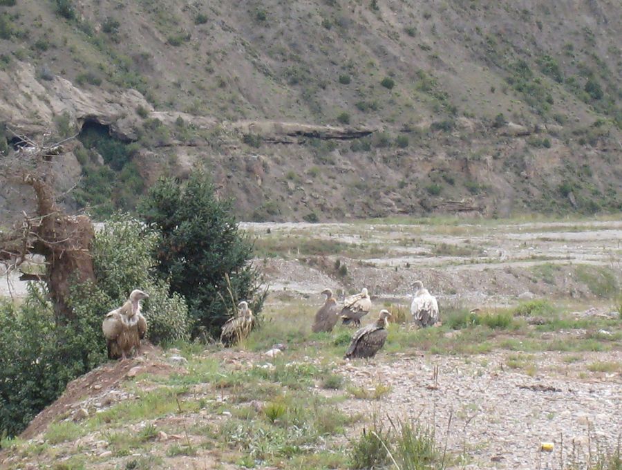 [原创]穿越西藏自驾游路途报导中--已更新前往扎什伦布寺途中照片!~