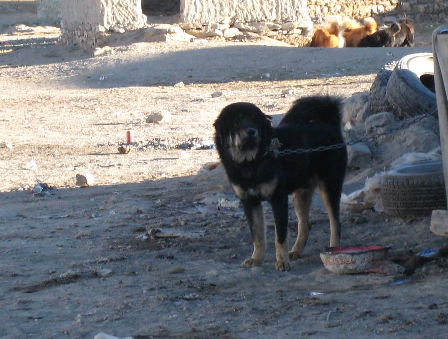 [原创]穿越西藏自驾游路途报导中--已更新前往扎什伦布寺途中照片!~