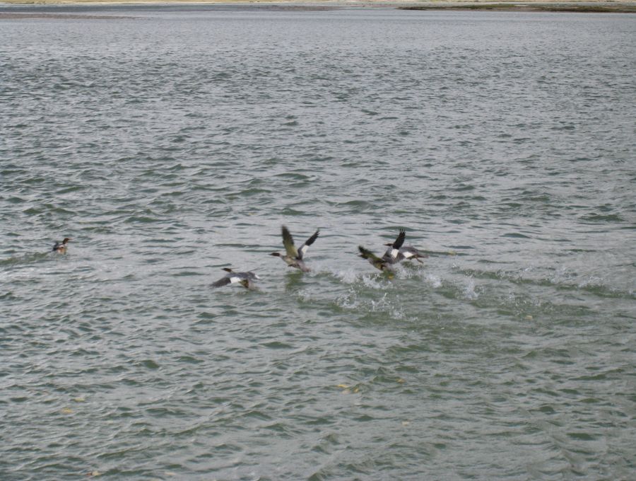 [原创]穿越西藏自驾游路途报导中--已更新前往扎什伦布寺途中照片!~