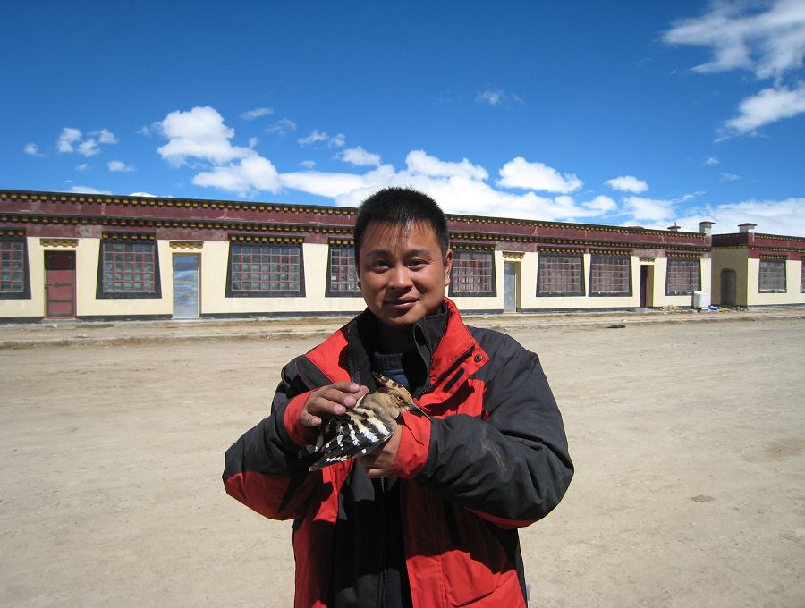 [原创]穿越西藏自驾游路途报导中--已更新前往扎什伦布寺途中照片!~