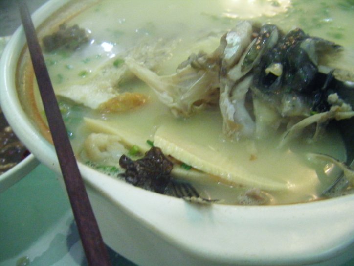 [探店报告]五一路的鱼头王