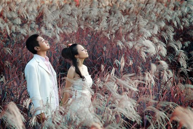 TT007 (Large) (Small).jpg