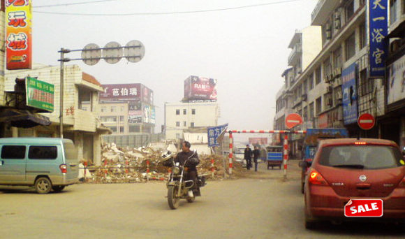 树块桩子,算咋回事啊!