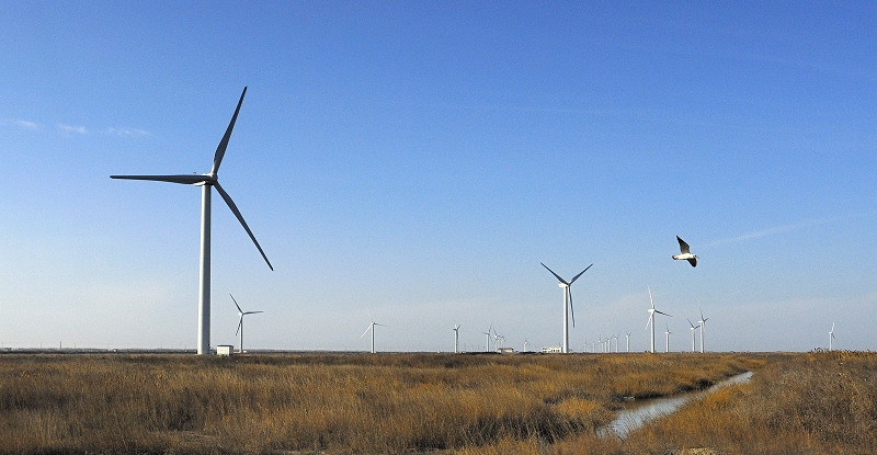 _DSC风电场风光2.jpg