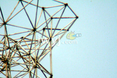 20090225_429131404ed386304b21YMD5MghX5maJ.jpg