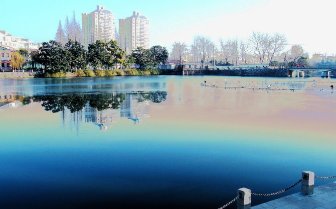 江城三九霜满天 濠河一夜冰乍现.jpg