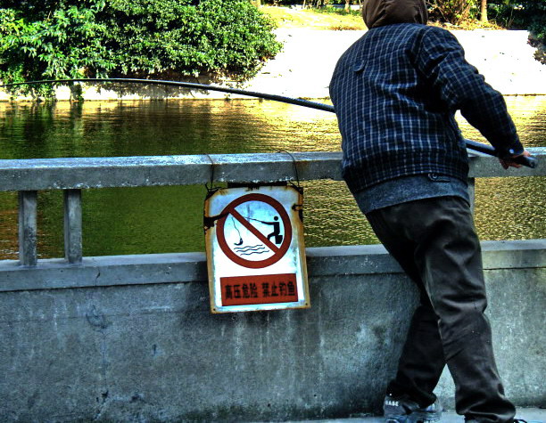 偏向虎山行(摄于北阁新村) .jpg