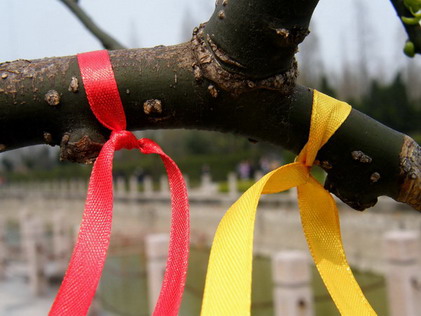 哀哀心愿结 脉脉不得解sssss.jpg