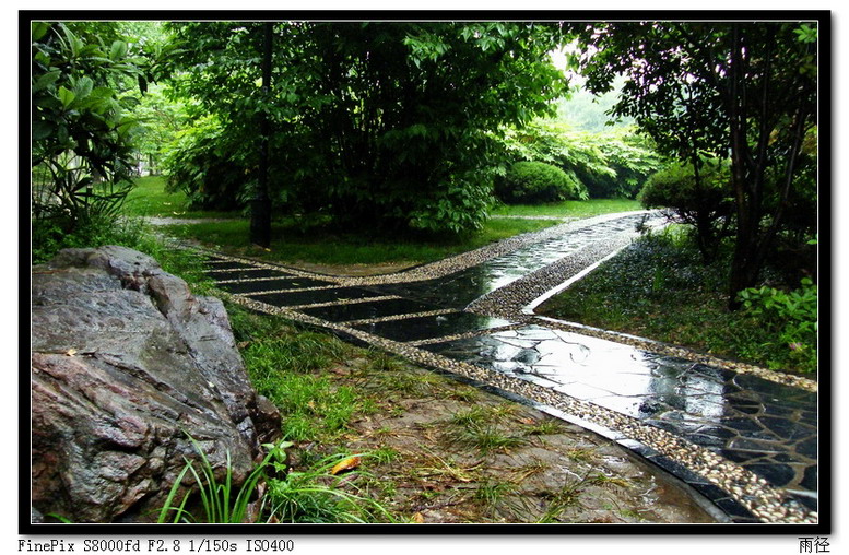 雨径-777.jpg