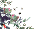 蜜蜂.gif
