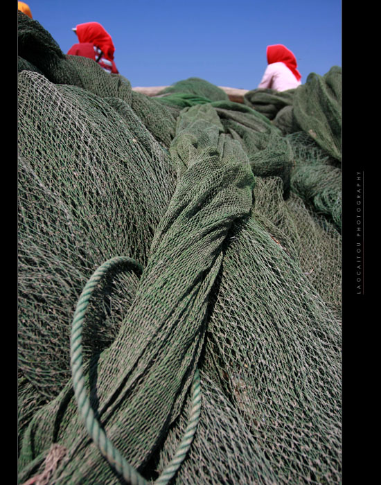 --------------蓝天、灰绿色的渔网，浓艳的红点缀其中，煞是好看