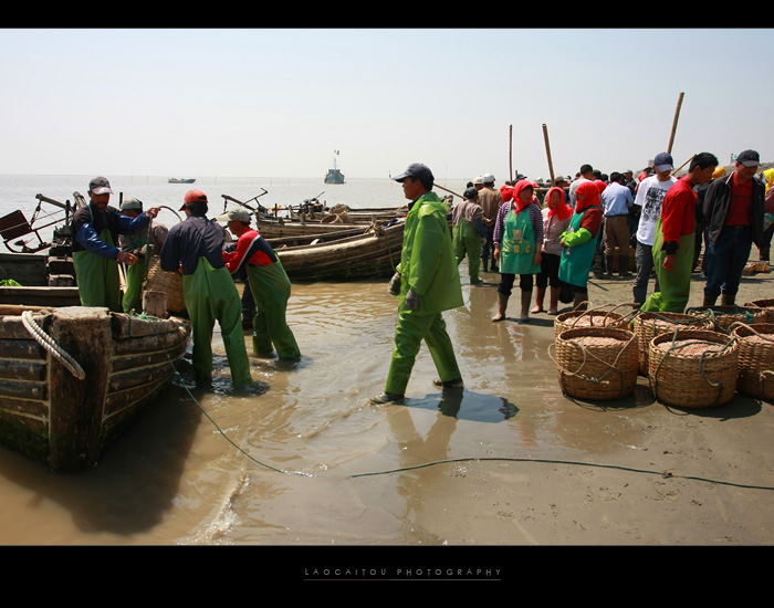 --------------海滩一下子热闹起来，不一会就聚满了人，一片忙碌        -------------------------------- ...