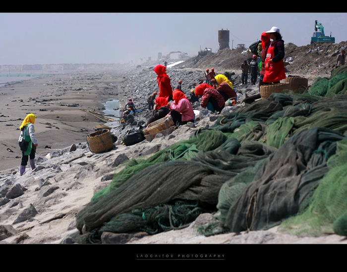 --------------背景是施工中的海堤，漫天的尘土令人有些窒息-------------------------------------------- ...