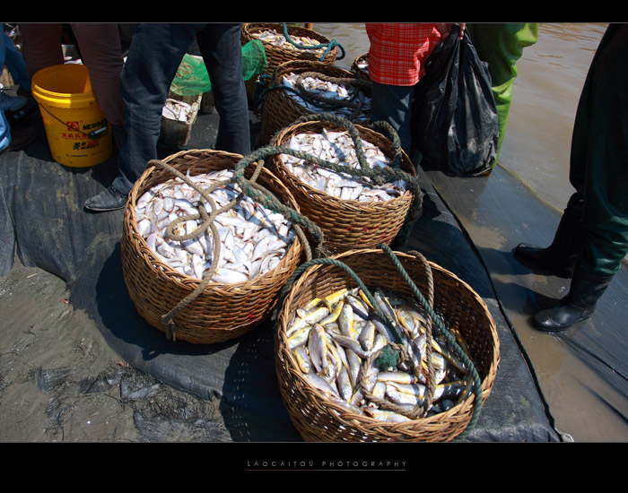 --------------待价而沽   --------------------------------------------------------------------------- ...