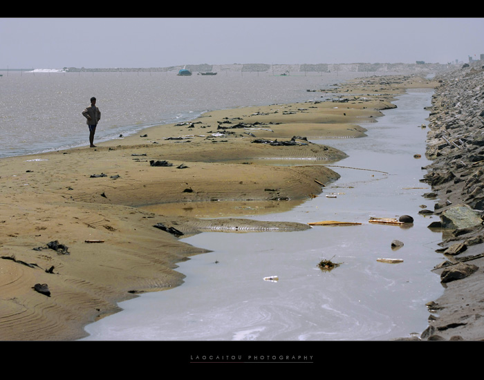 --------------有些冷清的滩涂                 ------------------------------------------------------- ...