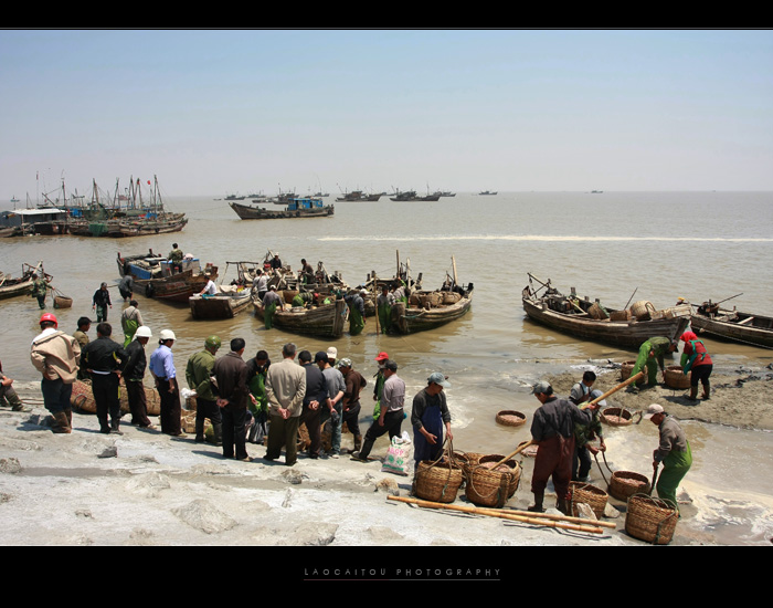 接近正午 ，潮水越来越高，逐渐淹没掉海堤下的滩涂，渔民们开始将鱼货望堤岸上转移，咱的肚子也开始抗议了。 ...