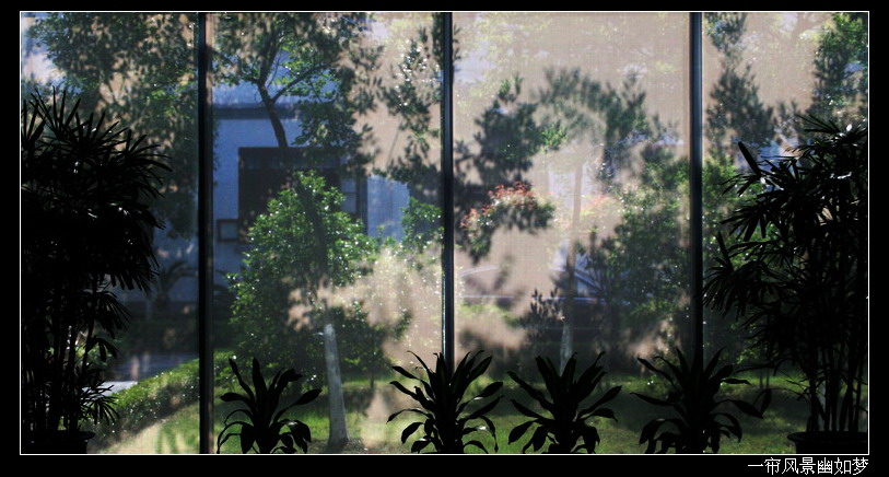 一帘风景幽如梦bb.jpg