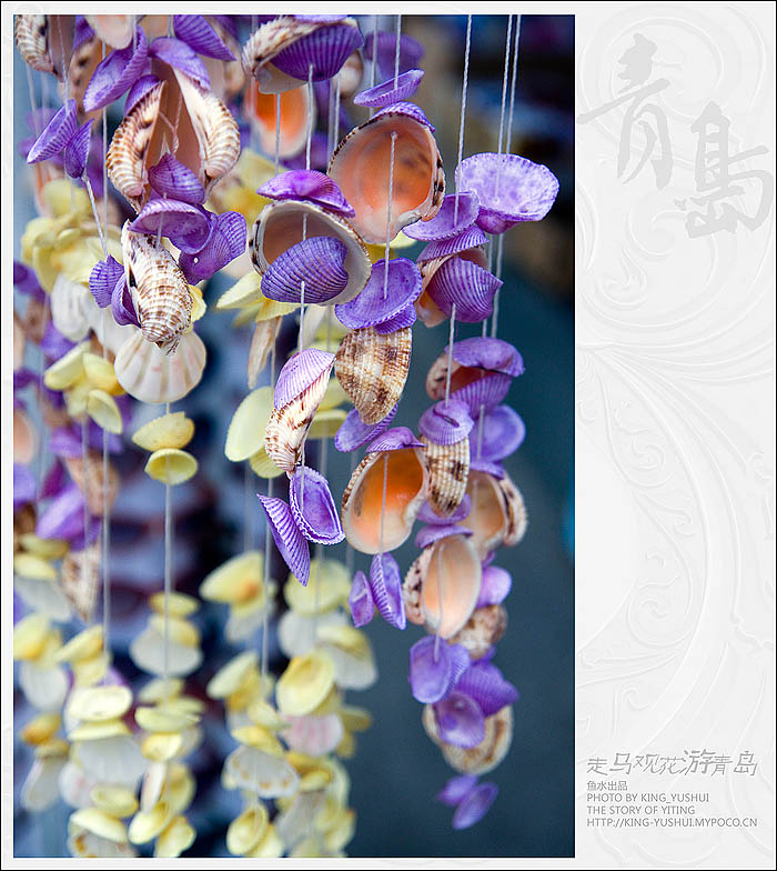 到处可见的贝壳，很好看，出行的片子当中因为天气原因，风景照只能讲究看看，还好没下雨