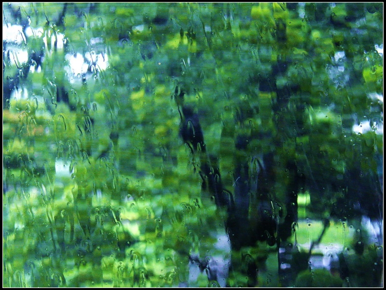雨景印象01-777.jpg