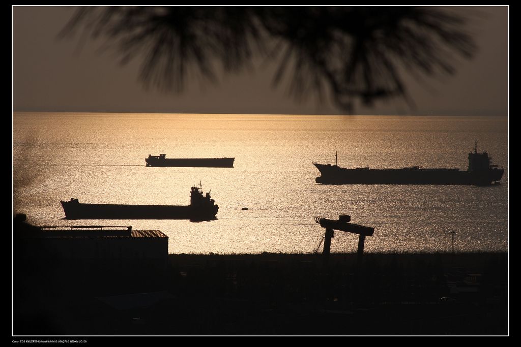 复件 Lidong-95.JPG