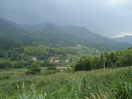 山雨欲来