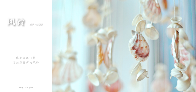 3分之一空白 副本.jpg