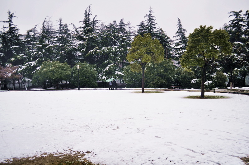 濠东雪景02.jpg