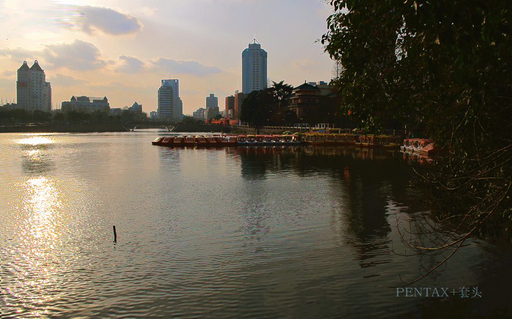 套头不一定是狗头