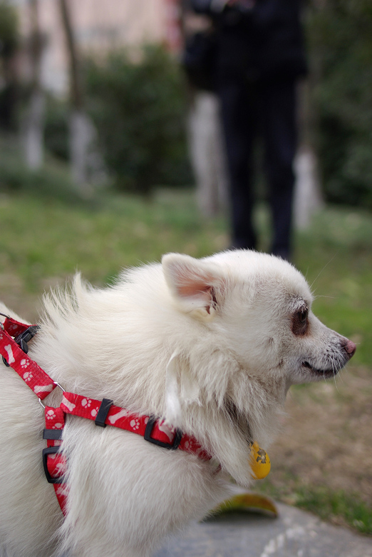 我们忙得跟孙子似的，可还可以像SB一样开心。