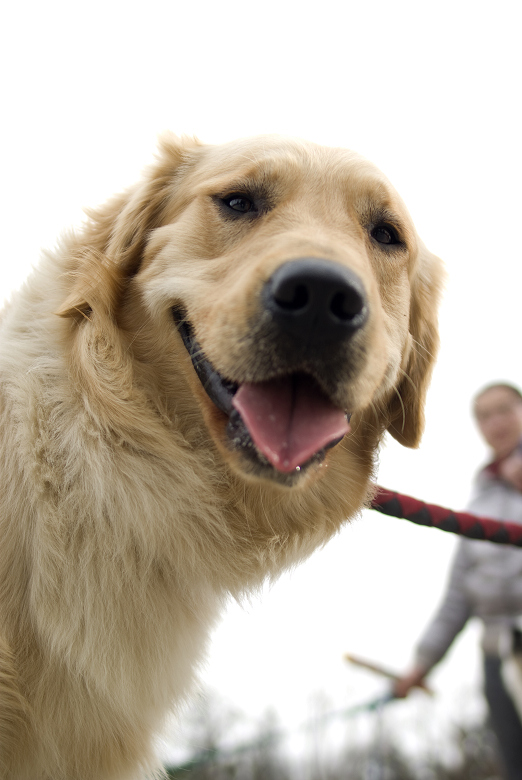 让世界低头是一种霸气