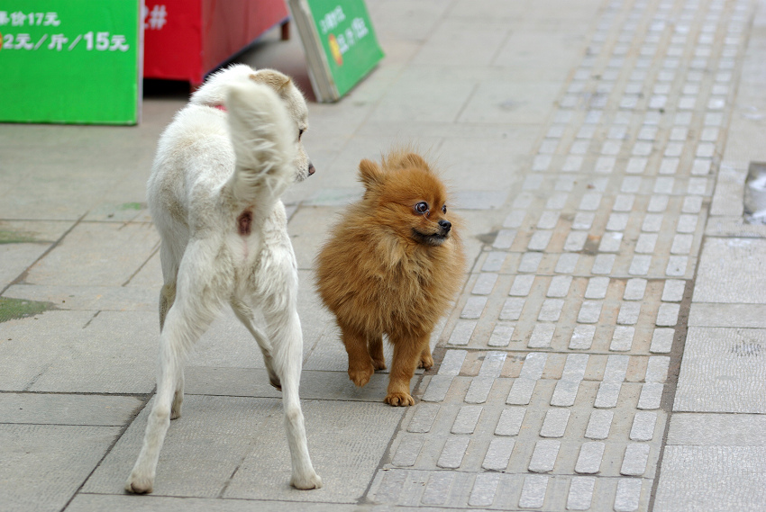 .“原来你就是传说中的290？！”“290是啥？”“290就是250+38+2”  “不理你”
