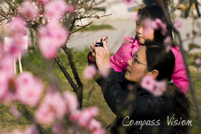 一对拍花的母女