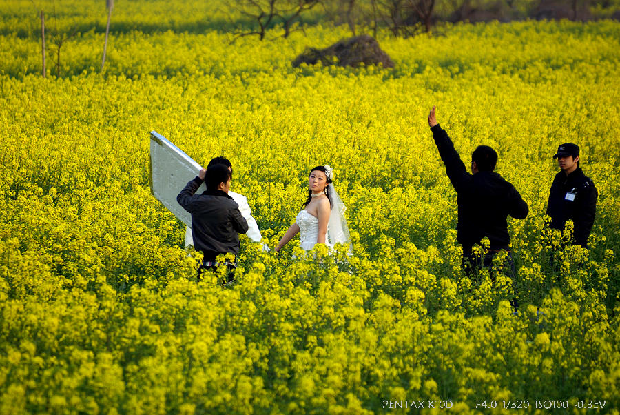 据说也是论坛里的~~