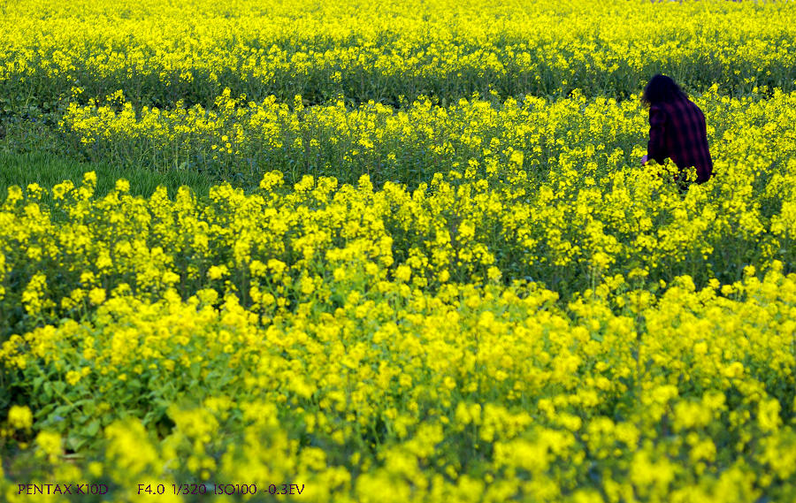 一直等那位转过身来，她就是不转过来～～，弟兄们走远了，不能等了～～