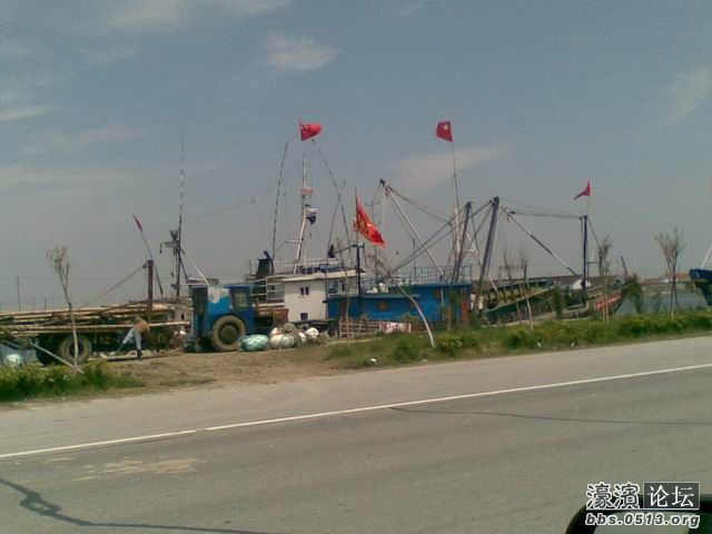 调整大小 图像450.jpg