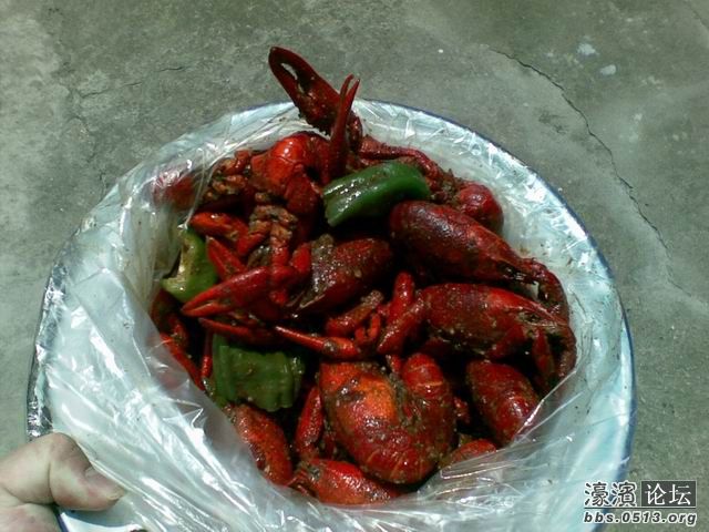 调整大小 图像441.jpg