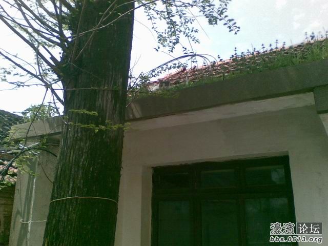 调整大小 图像429.jpg