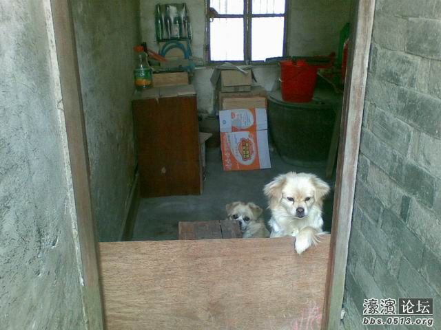 调整大小 图像430.jpg