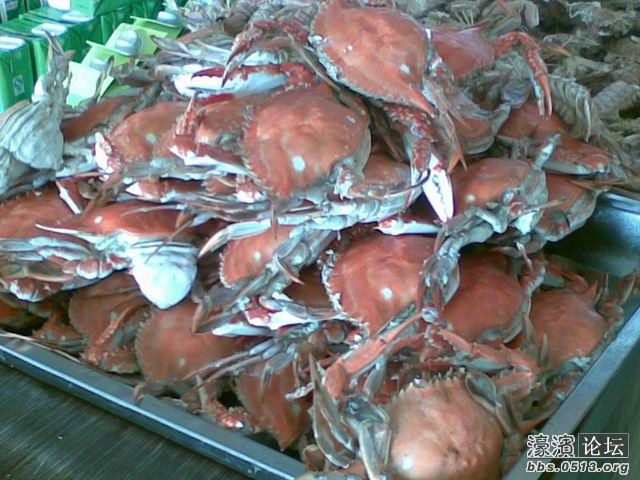 调整大小 图像454.jpg