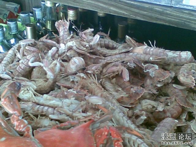 调整大小 图像455.jpg