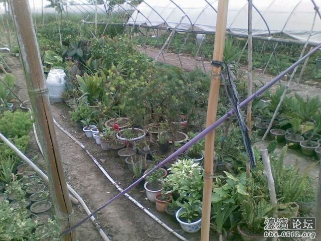 调整大小 照片 018.jpg