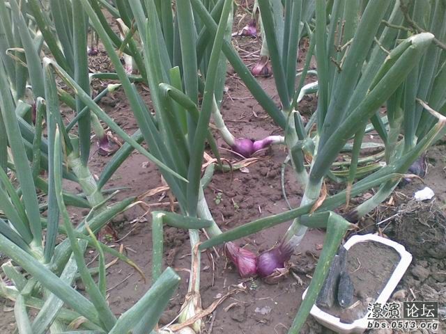 调整大小 照片 021.jpg