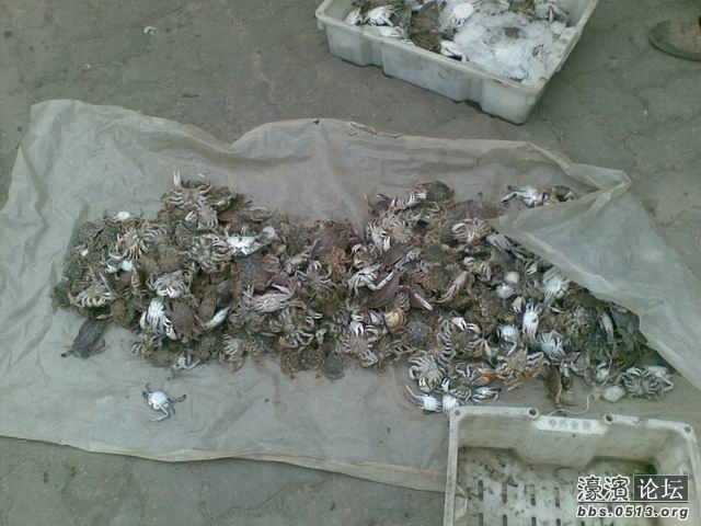 调整大小 照片 026.jpg