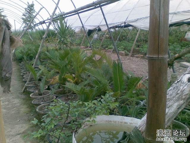 调整大小 照片 019.jpg