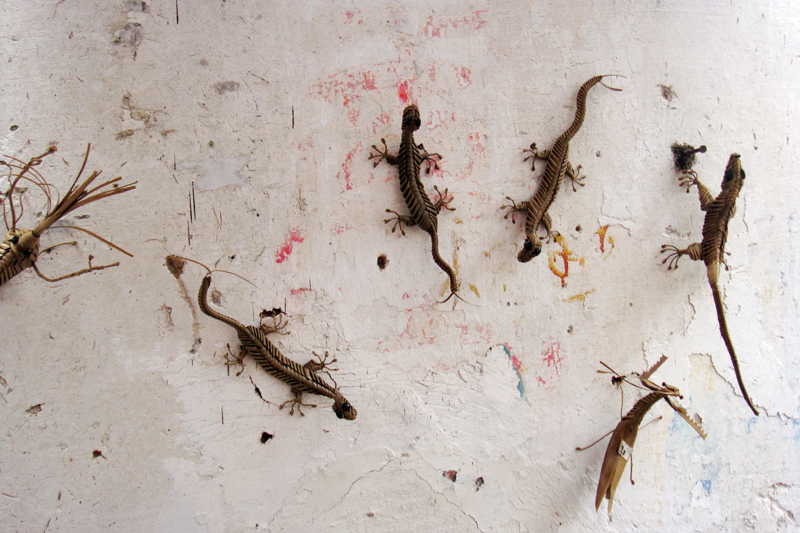 超可爱的吧 、壁虎漫步 ，小时候最怕的.JPG