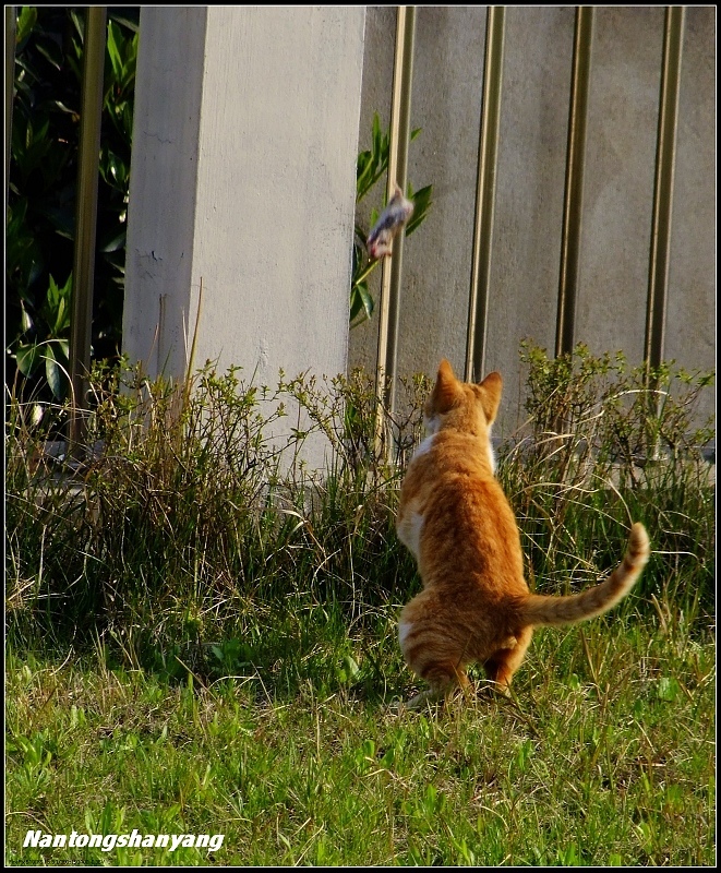 4.今天高兴，我送你上天上凉快凉快！