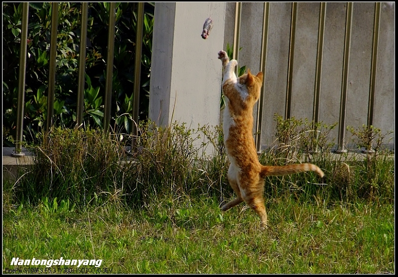 5.掉下来还在我股掌之中！