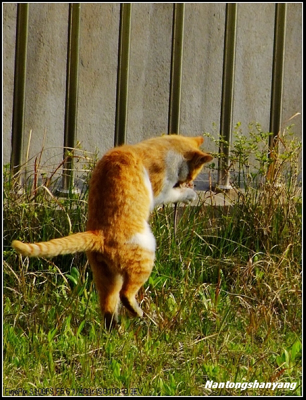 7.这肉好香哦！